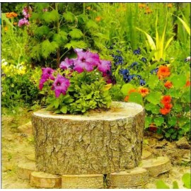 Декорация в пеньке